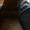 lilkrup20